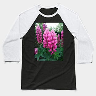 Pink lupins photograph Baseball T-Shirt